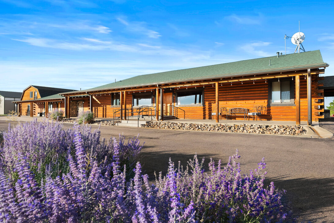 Log Cabin with purple flowers in the foreground